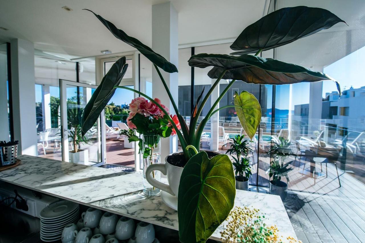 Dedaj - Auri Apartment *